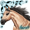 Avatar du membre 15884
